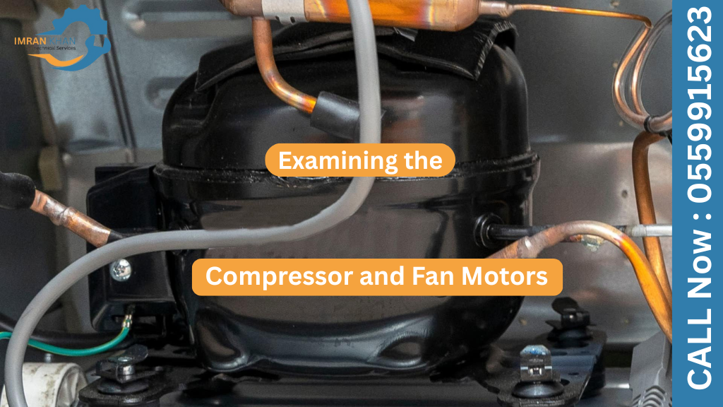 What’s Included in a Professional Fridge Service? 5 Copy of imrankhan 1 44