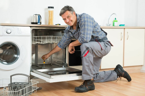 Dishwasher Not Finishing Wash Cycle? Complete Guide & Quick Fixes 2 Professional Dishwasher Repair Service